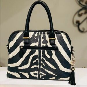 Gorgeous Black and White Zebra Satchel